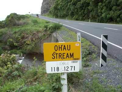 [Ohau bridge]