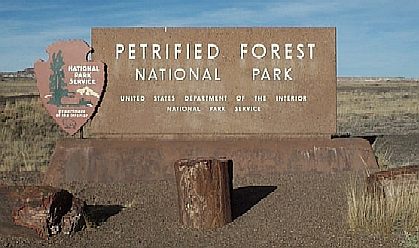 [Petrified Forest Natl Park]