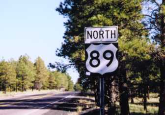 [US 89 forest]